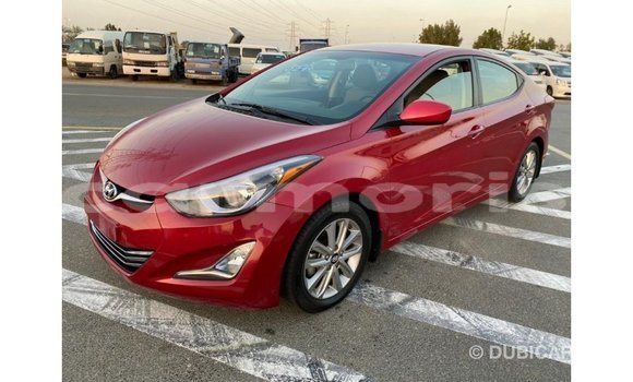 Buy Import Hyundai Elantra Red Car in Import - Dubai in Agalega Islands Buy Import Hyundai Elantra Red Car in Import - Dubai in Agalega Islands