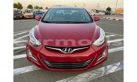 Buy Import Hyundai Elantra Red Car in Import - Dubai in Agalega Islands Buy Import Hyundai Elantra Red Car in Import - Dubai in Agalega Islands