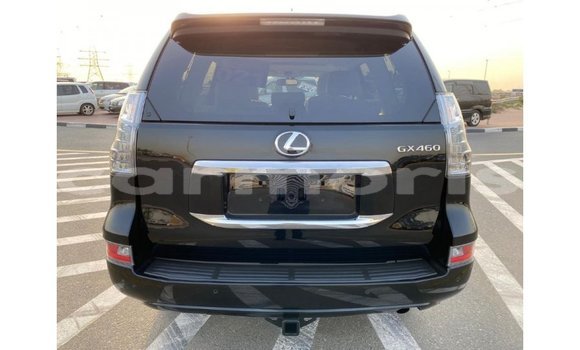 Buy Import Lexus GX Black Car in Import - Dubai in Agalega Islands Buy Import Lexus GX Black Car in Import - Dubai in Agalega Islands