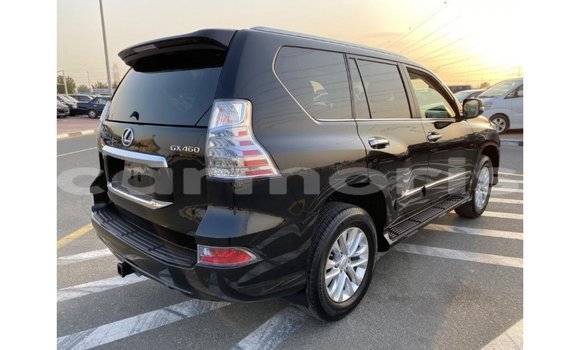Buy Import Lexus GX Black Car in Import - Dubai in Agalega Islands Buy Import Lexus GX Black Car in Import - Dubai in Agalega Islands