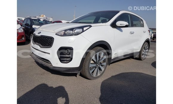 Buy Import Kia Sportage White Car in Import - Dubai in Agalega Islands Buy Import Kia Sportage White Car in Import - Dubai in Agalega Islands