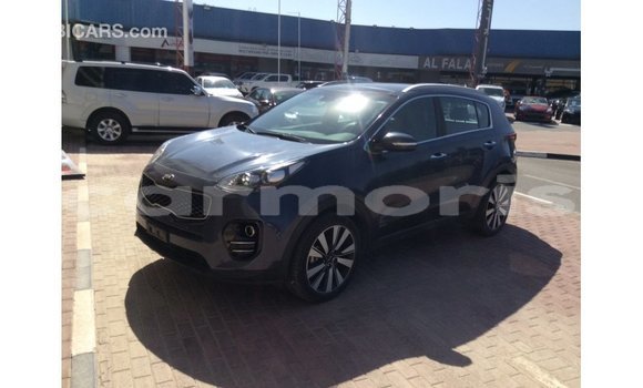 Buy Import Kia Sportage Blue Car in Import - Dubai in Agalega Islands Buy Import Kia Sportage Blue Car in Import - Dubai in Agalega Islands