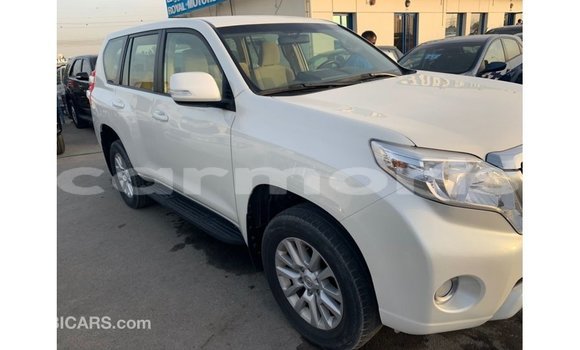 Buy Import Toyota Prado White Car in Import - Dubai in Agalega Islands Buy Import Toyota Prado White Car in Import - Dubai in Agalega Islands
