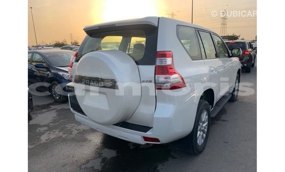 Buy Import Toyota Prado White Car in Import - Dubai in Agalega Islands Buy Import Toyota Prado White Car in Import - Dubai in Agalega Islands