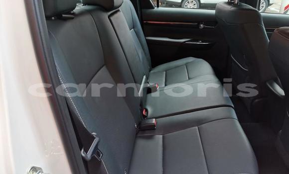 Buy Used Toyota Hilux White Car in Port Louis in Port Louis District Buy Used Toyota Hilux White Car in Port Louis in Port Louis District