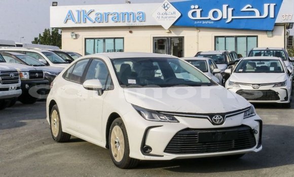 Buy Import Toyota Corolla White Car in Import - Dubai in Agalega Islands Buy Import Toyota Corolla White Car in Import - Dubai in Agalega Islands