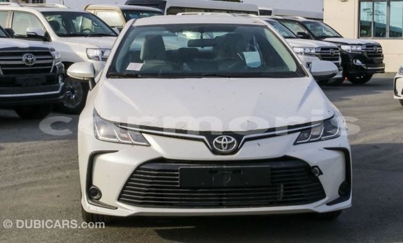 Buy Import Toyota Corolla White Car in Import - Dubai in Agalega Islands Buy Import Toyota Corolla White Car in Import - Dubai in Agalega Islands