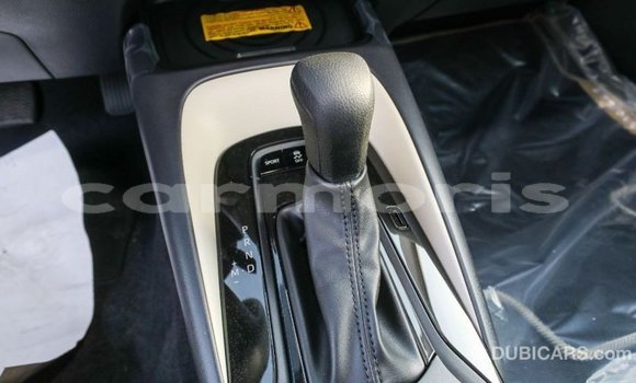 Buy Import Toyota Corolla White Car in Import - Dubai in Agalega Islands Buy Import Toyota Corolla White Car in Import - Dubai in Agalega Islands