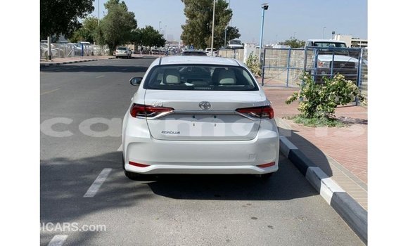 Acheter Import Voiture Toyota Corolla Blanc à Import - Dubai, Îles Agalega Acheter Import Voiture Toyota Corolla Blanc à Import - Dubai, Îles Agalega