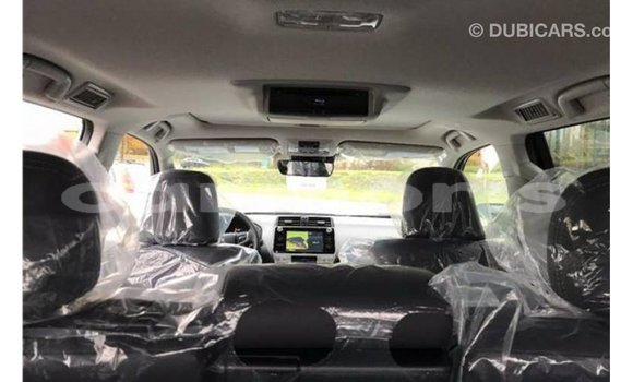 Buy Import Toyota Prado Other Car in Import - Dubai in Agalega Islands Buy Import Toyota Prado Other Car in Import - Dubai in Agalega Islands