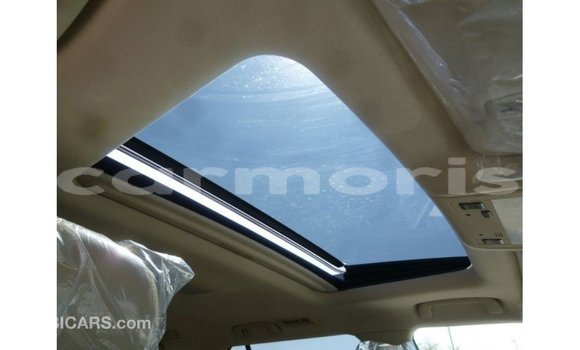 Acheter Import Voiture Toyota Land Cruiser Blanc à Import - Dubai, Îles Agalega Acheter Import Voiture Toyota Land Cruiser Blanc à Import - Dubai, Îles Agalega