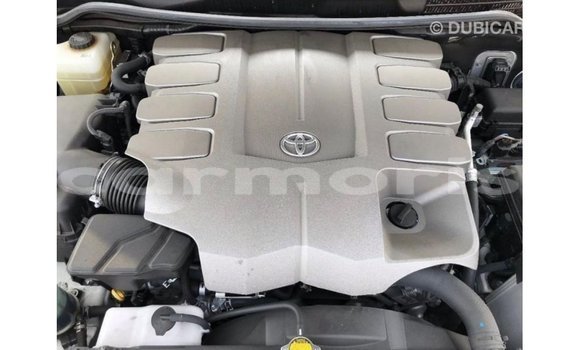 Buy Import Toyota Land Cruiser White Car in Import - Dubai in Agalega Islands Buy Import Toyota Land Cruiser White Car in Import - Dubai in Agalega Islands