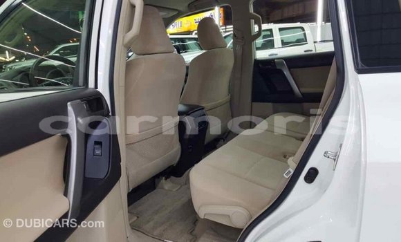 Buy Import Toyota Prado White Car in Import - Dubai in Agalega Islands Buy Import Toyota Prado White Car in Import - Dubai in Agalega Islands