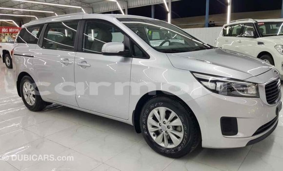Buy Import Kia Carnival Other Car in Import - Dubai in Agalega Islands Buy Import Kia Carnival Other Car in Import - Dubai in Agalega Islands