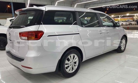 Buy Import Kia Carnival Other Car in Import - Dubai in Agalega Islands Buy Import Kia Carnival Other Car in Import - Dubai in Agalega Islands