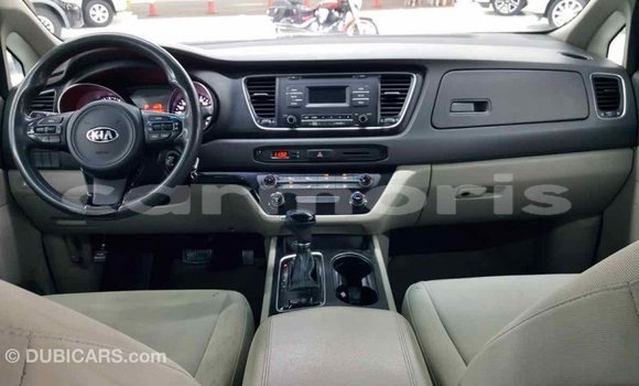 Buy Import Kia Carnival Other Car in Import - Dubai in Agalega Islands Buy Import Kia Carnival Other Car in Import - Dubai in Agalega Islands