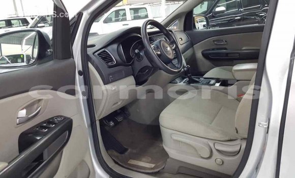 Buy Import Kia Carnival Other Car in Import - Dubai in Agalega Islands Buy Import Kia Carnival Other Car in Import - Dubai in Agalega Islands