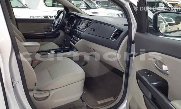 Buy Import Kia Carnival Other Car in Import - Dubai in Agalega Islands Buy Import Kia Carnival Other Car in Import - Dubai in Agalega Islands