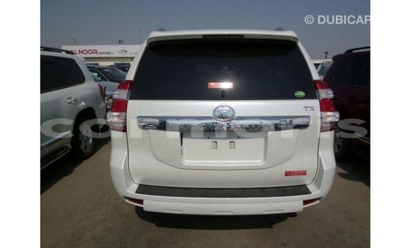 Acheter Import Voiture Toyota Prado Blanc à Import - Dubai, Îles Agalega Acheter Import Voiture Toyota Prado Blanc à Import - Dubai, Îles Agalega