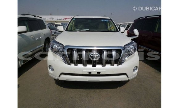 Acheter Import Voiture Toyota Prado Blanc à Import - Dubai, Îles Agalega Acheter Import Voiture Toyota Prado Blanc à Import - Dubai, Îles Agalega