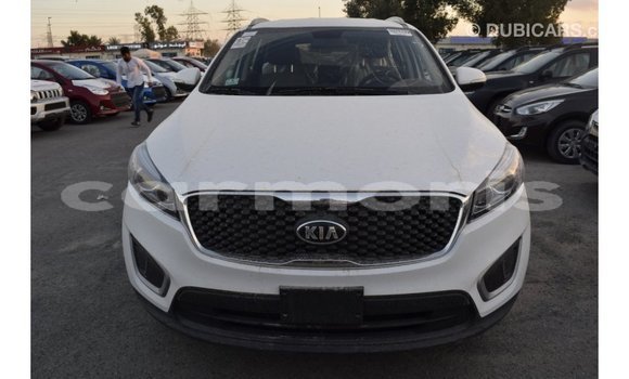 Buy Import Kia Sorento White Car in Import - Dubai in Agalega Islands