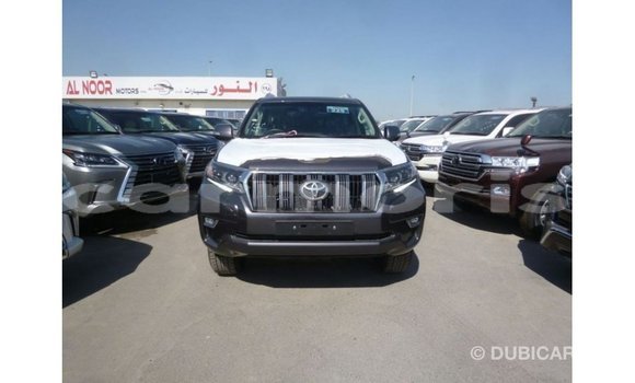 Buy Import Toyota Prado Other Car in Import - Dubai in Agalega Islands Buy Import Toyota Prado Other Car in Import - Dubai in Agalega Islands