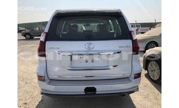 Acheter Import Voiture Lexus GX Blanc à Import - Dubai, Îles Agalega Acheter Import Voiture Lexus GX Blanc à Import - Dubai, Îles Agalega