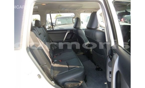 Buy Import Toyota Prado White Car in Import - Dubai in Agalega Islands Buy Import Toyota Prado White Car in Import - Dubai in Agalega Islands