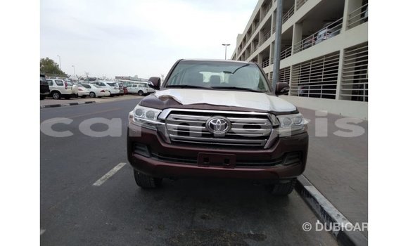 Buy Import Toyota Land Cruiser Brown Car in Import - Dubai in Agalega Islands Buy Import Toyota Land Cruiser Brown Car in Import - Dubai in Agalega Islands