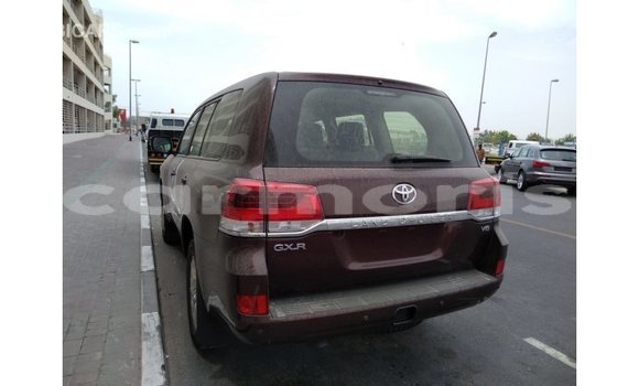 Buy Import Toyota Land Cruiser Brown Car in Import - Dubai in Agalega Islands Buy Import Toyota Land Cruiser Brown Car in Import - Dubai in Agalega Islands