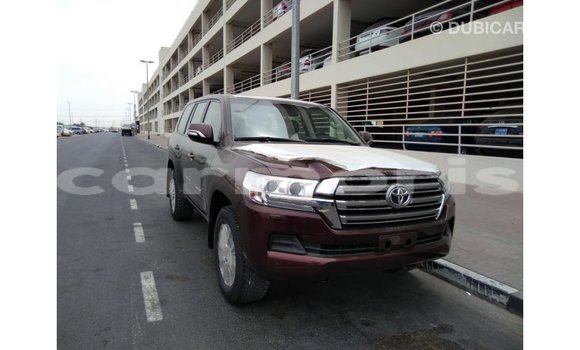 Buy Import Toyota Land Cruiser Brown Car in Import - Dubai in Agalega Islands Buy Import Toyota Land Cruiser Brown Car in Import - Dubai in Agalega Islands