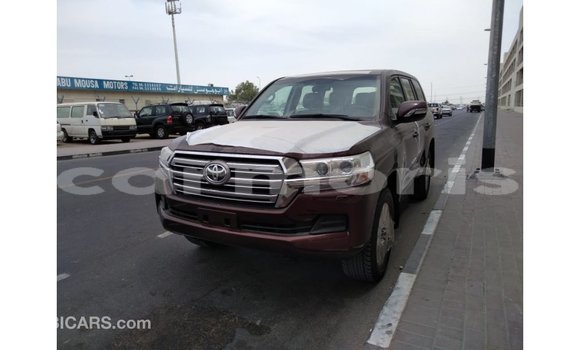 Buy Import Toyota Land Cruiser Brown Car in Import - Dubai in Agalega Islands Buy Import Toyota Land Cruiser Brown Car in Import - Dubai in Agalega Islands