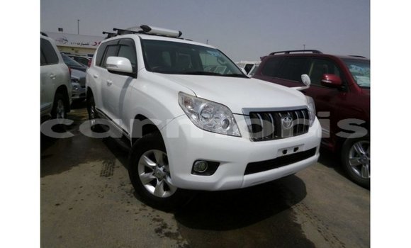 Buy Import Toyota Prado White Car in Import - Dubai in Agalega Islands Buy Import Toyota Prado White Car in Import - Dubai in Agalega Islands