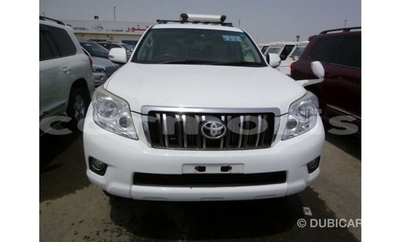 Buy Import Toyota Prado White Car in Import - Dubai in Agalega Islands Buy Import Toyota Prado White Car in Import - Dubai in Agalega Islands