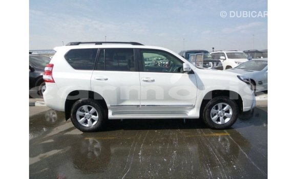 Acheter Import Voiture Toyota Prado Blanc à Import - Dubai, Îles Agalega Acheter Import Voiture Toyota Prado Blanc à Import - Dubai, Îles Agalega