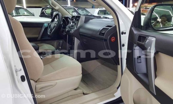 Buy Import Toyota Prado White Car in Import - Dubai in Agalega Islands Buy Import Toyota Prado White Car in Import - Dubai in Agalega Islands