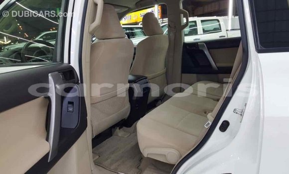 Buy Import Toyota Prado White Car in Import - Dubai in Agalega Islands Buy Import Toyota Prado White Car in Import - Dubai in Agalega Islands
