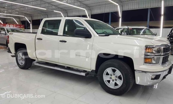 Buy Import Chevrolet Silverado White Car in Import - Dubai in Agalega Islands Buy Import Chevrolet Silverado White Car in Import - Dubai in Agalega Islands