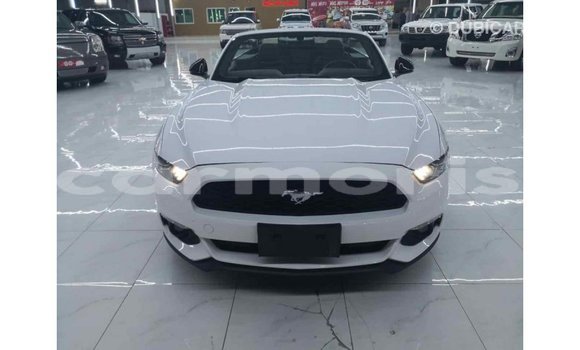 Buy Import Ford Mustang White Car in Import - Dubai in Agalega Islands Buy Import Ford Mustang White Car in Import - Dubai in Agalega Islands