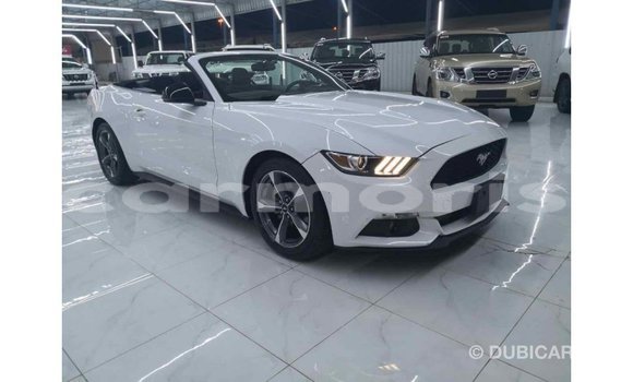 Buy Import Ford Mustang White Car in Import - Dubai in Agalega Islands Buy Import Ford Mustang White Car in Import - Dubai in Agalega Islands