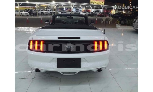 Buy Import Ford Mustang White Car in Import - Dubai in Agalega Islands Buy Import Ford Mustang White Car in Import - Dubai in Agalega Islands