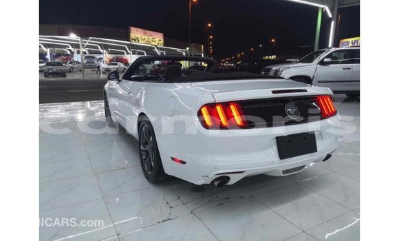 Buy Import Ford Mustang White Car in Import - Dubai in Agalega Islands Buy Import Ford Mustang White Car in Import - Dubai in Agalega Islands