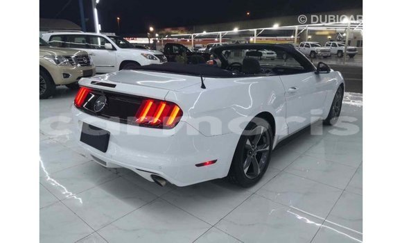 Buy Import Ford Mustang White Car in Import - Dubai in Agalega Islands Buy Import Ford Mustang White Car in Import - Dubai in Agalega Islands