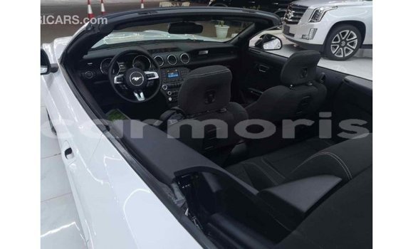 Buy Import Ford Mustang White Car in Import - Dubai in Agalega Islands Buy Import Ford Mustang White Car in Import - Dubai in Agalega Islands
