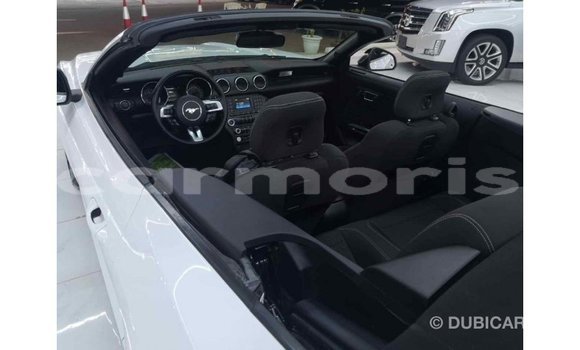 Buy Import Ford Mustang White Car in Import - Dubai in Agalega Islands Buy Import Ford Mustang White Car in Import - Dubai in Agalega Islands