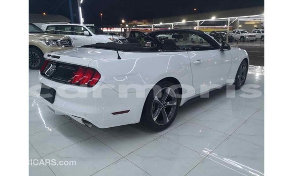 Buy Import Ford Mustang White Car in Import - Dubai in Agalega Islands