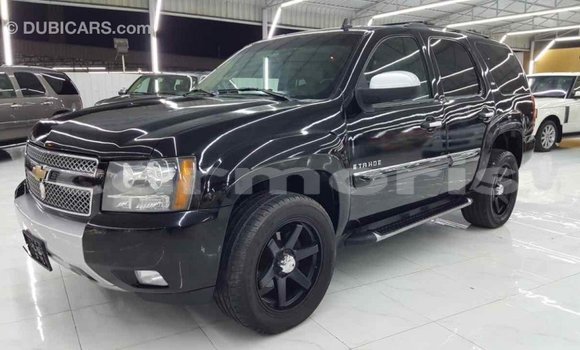Buy Import Chevrolet Tahoe Black Car in Import - Dubai in Agalega Islands Buy Import Chevrolet Tahoe Black Car in Import - Dubai in Agalega Islands