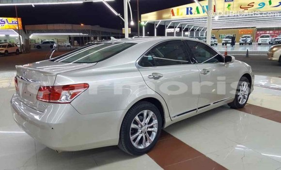 Buy Import Lexus ES Other Car in Import - Dubai in Agalega Islands Buy Import Lexus ES Other Car in Import - Dubai in Agalega Islands