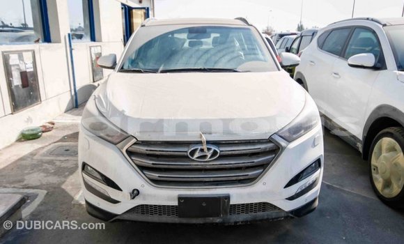 Buy Import Hyundai Tucson White Car in Import - Dubai in Agalega Islands Buy Import Hyundai Tucson White Car in Import - Dubai in Agalega Islands