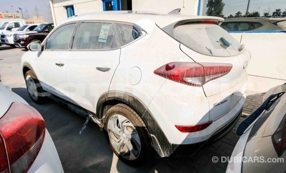 Buy Import Hyundai Tucson White Car in Import - Dubai in Agalega Islands Buy Import Hyundai Tucson White Car in Import - Dubai in Agalega Islands